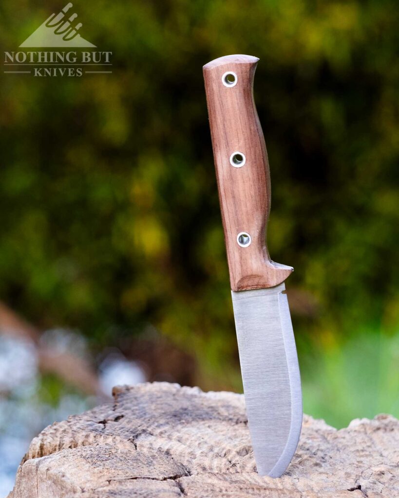Boker Dbk Bushfriend 2000 Review - Image 18 The Condor Swamp Romper bushcraft knife sticking out of a tree stump in the forest.