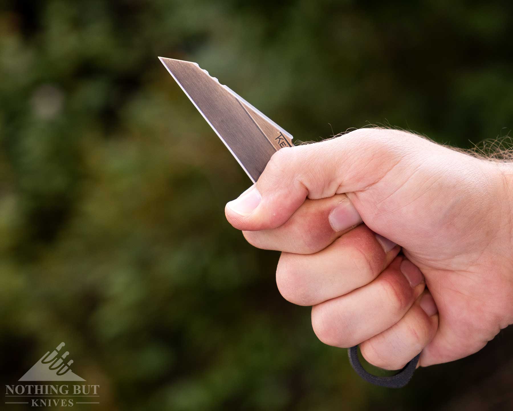 T.kell Wharnedc Review - Image 11 A close-up of a small fixed blade knife being gripped in a person's right hand.