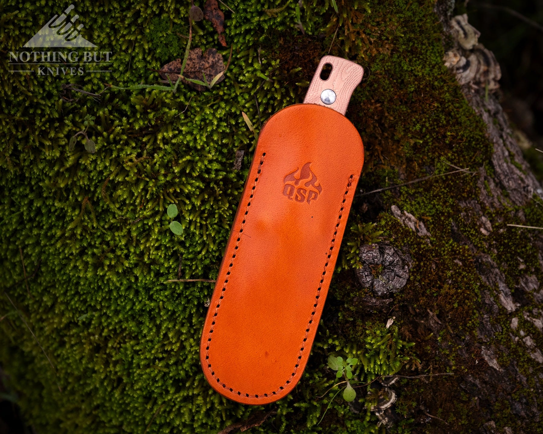 Our Favorite Fixed Blade Edc Knives And How To Carry Them - Image 3 An overhead view of the QSP Baby Penguin in its brown, leather sheath on a moss-covered log.