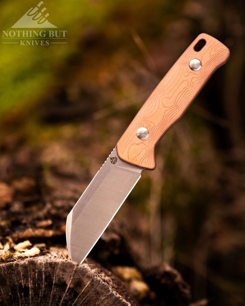 Our Favorite Fixed Blade Edc Knives And How To Carry Them - Image 2 A close-up of the QSP Baby Penguin with copper foil handle scales and a 14C28N steel blade sticking out of a moss-covered log.