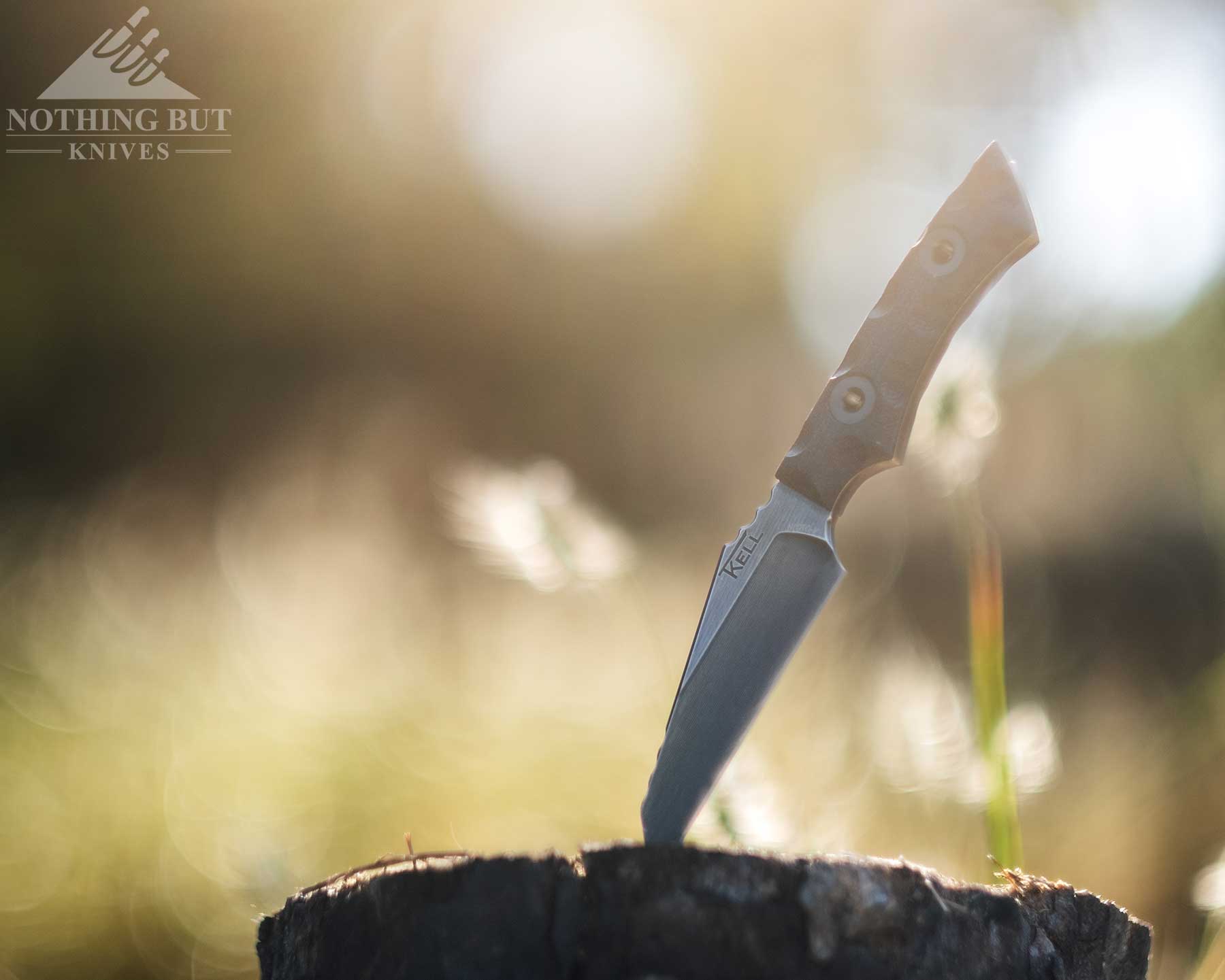 T.kell Wharnedc Review - Image 6 A dreamlike image of a fixed blade knife sticking out of a tree stump in front of a sun-drenched blurry background.