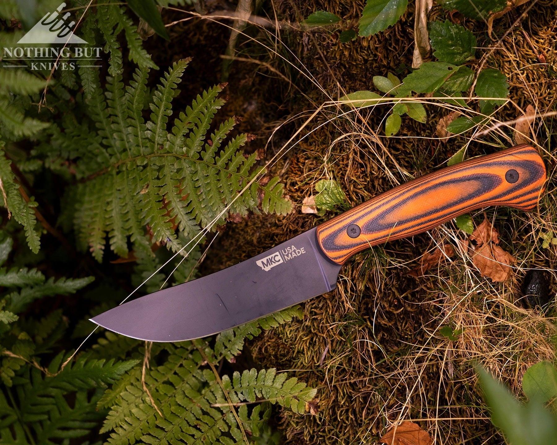 An overhead view of the MKC Stonewall Skinner camping and hunting knife on a fern-covered forest floor. 