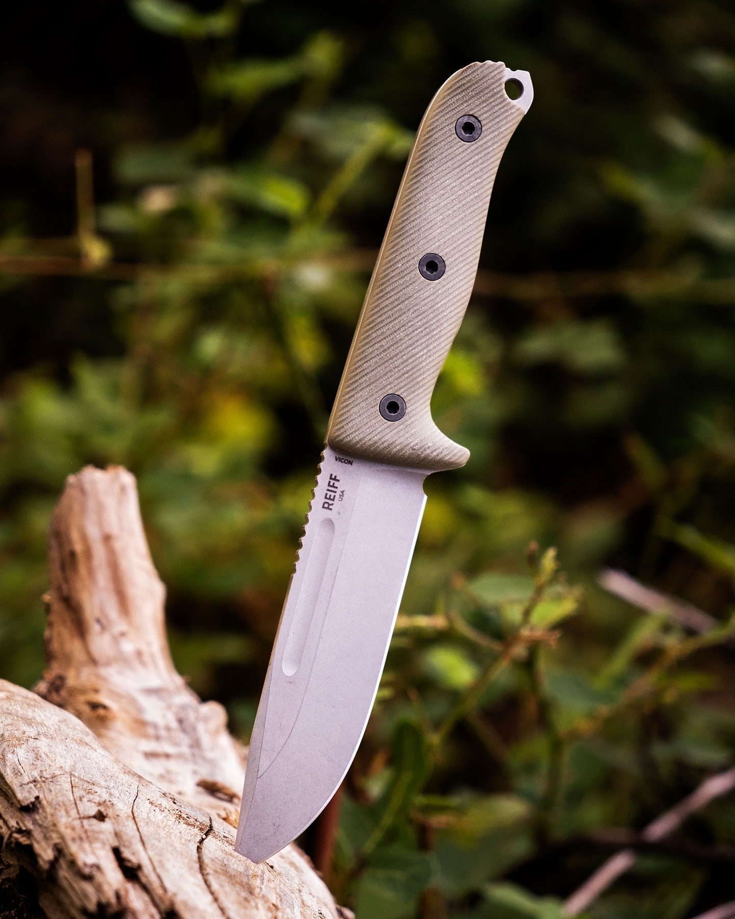 The Reiff Vicon with a G10 handle and a Magnacut blade sticking out of a log in front of blackberry bushes outdoors.