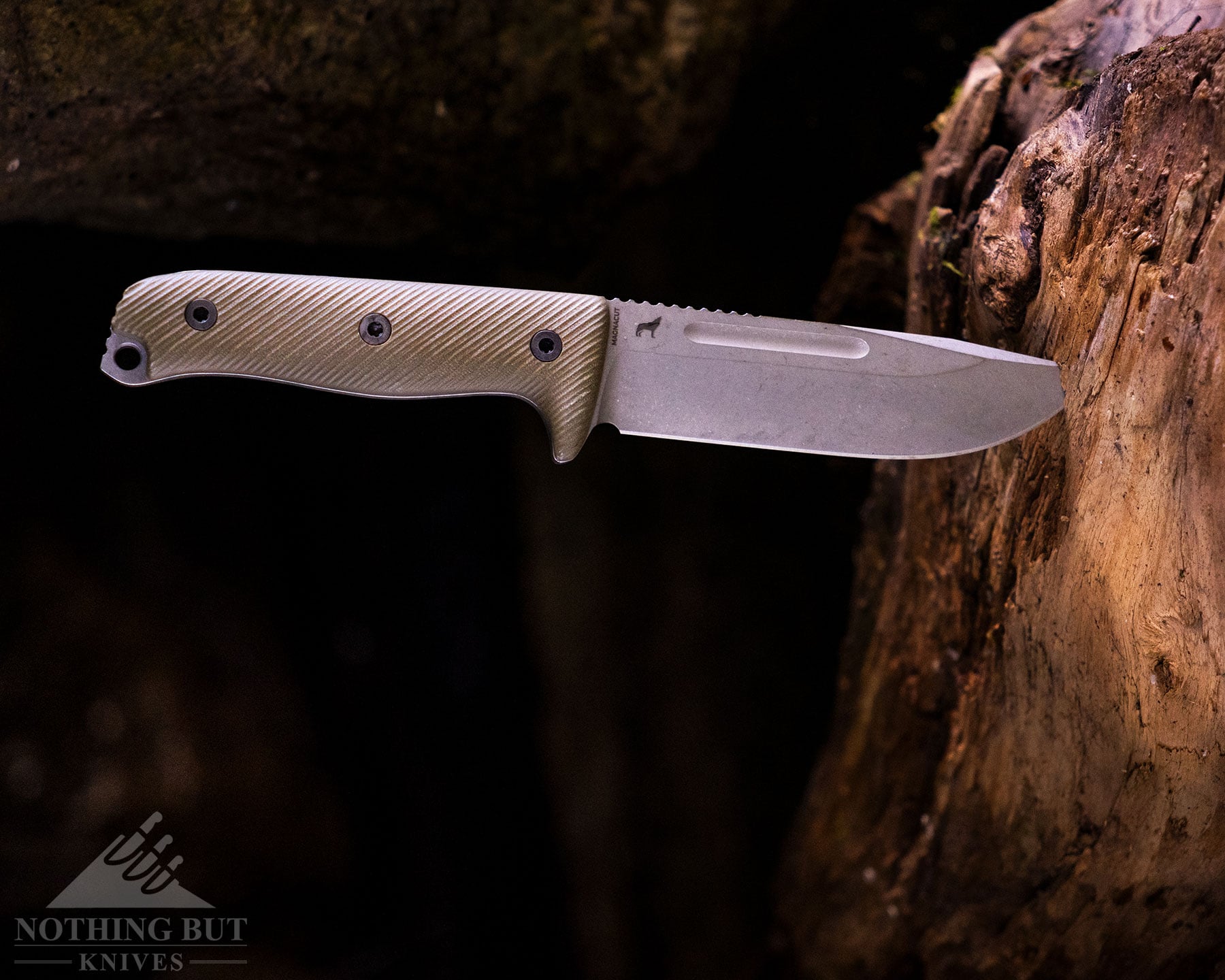 Reiff Vicon fixed blade knife shown here with its blade tip stuck in a large log in front of a large rock in the shadows. 
