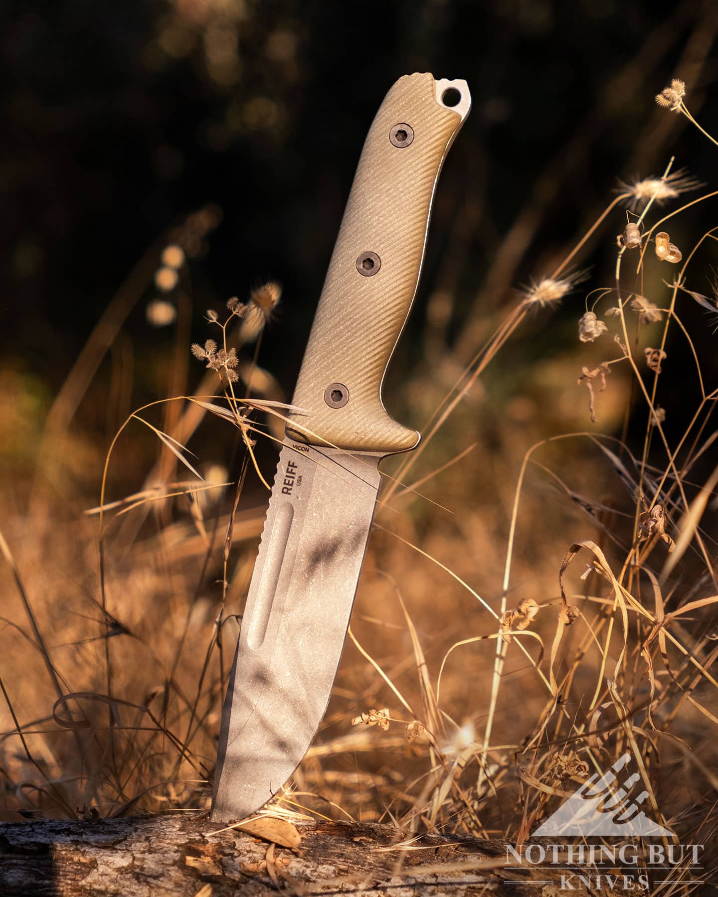A fixed blade n\military survival knife in a field of tall brown grass in front of a forest. 