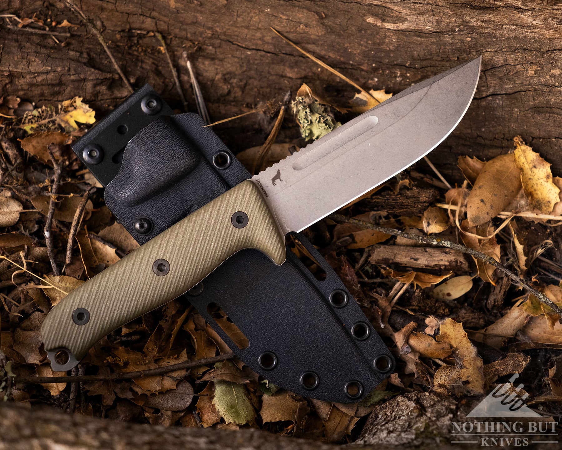 An overhead view of the Reiff Vicon fixed blade knife on top of its black kydex sheath on a leaf covered, forest floor. 
