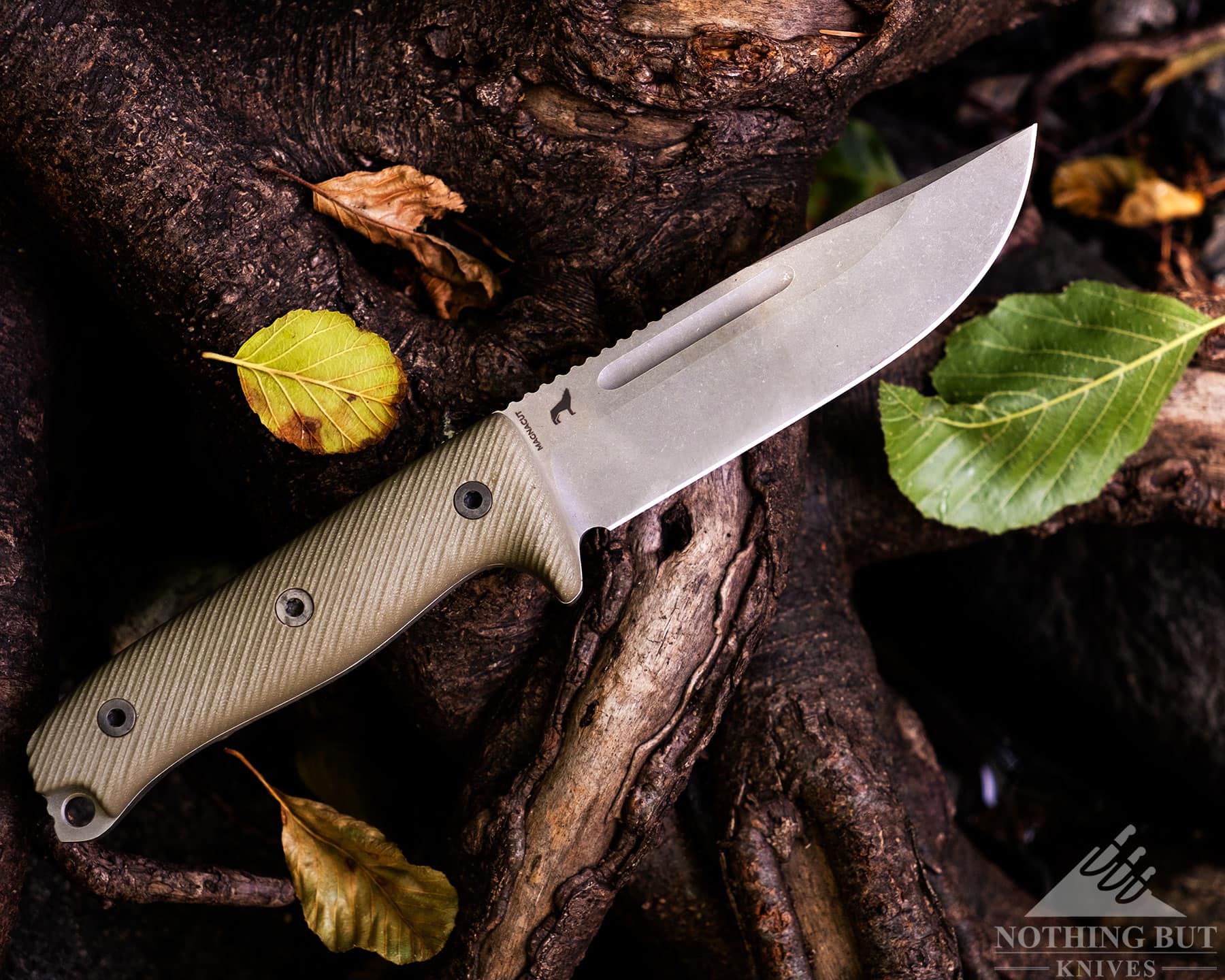 An overhead view of the Reiff Vicon survival knife on top of tree roots and fallen leaves. 