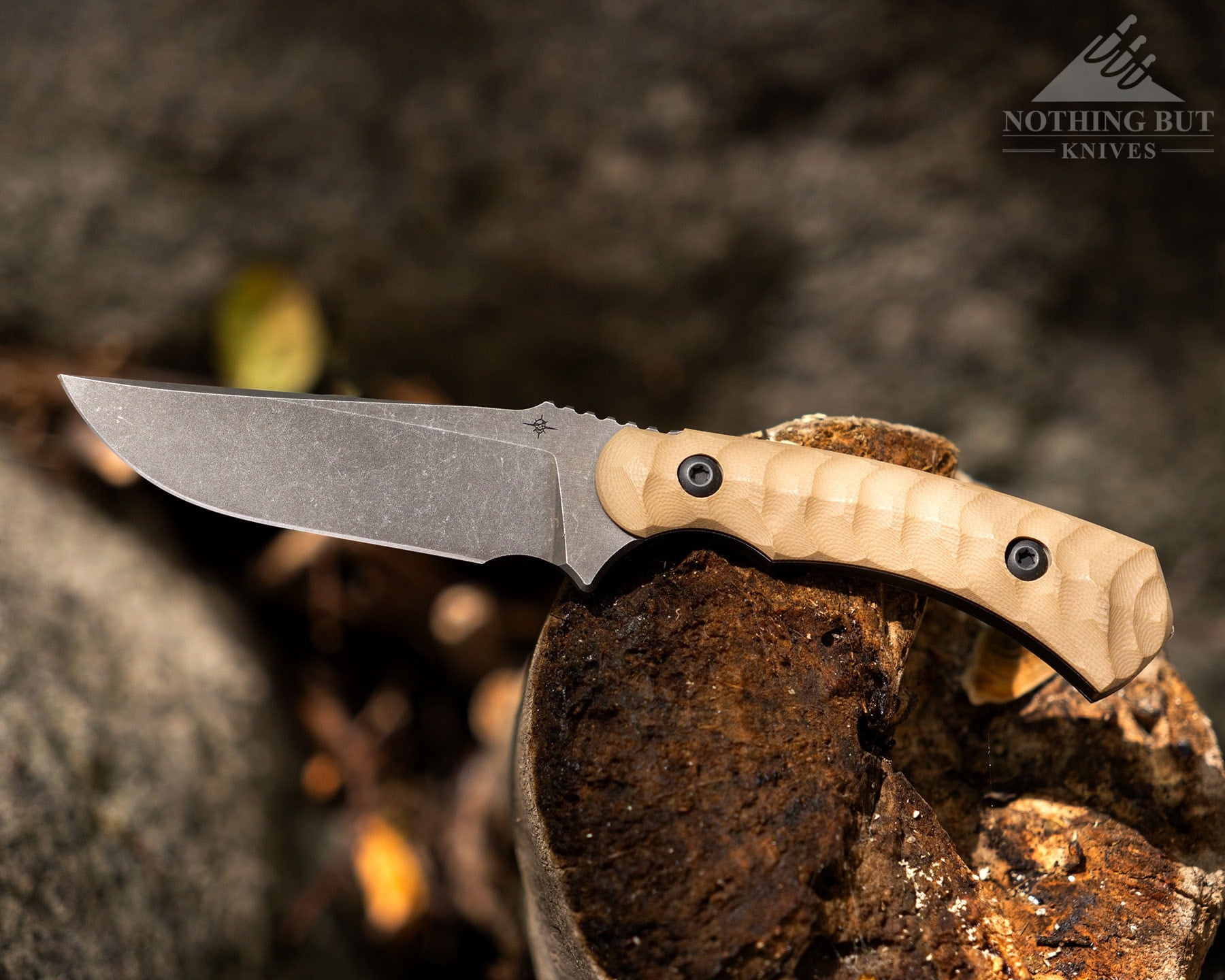 Toor Knives Brauler Review - Image 1 The Toor Brauler with Omaha tan handle scales balanced on the end of a piece of driftwood in the forest.