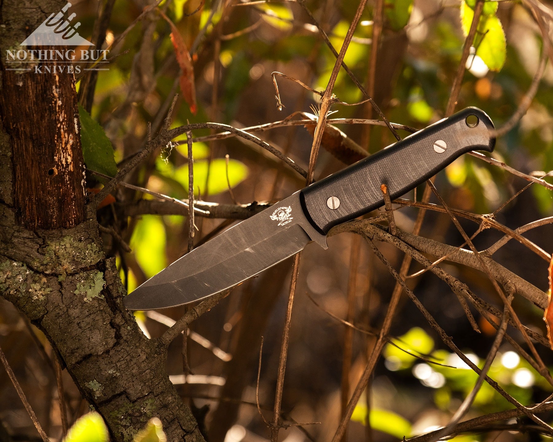 Skallywag Tactical. The Wanderer Review. - Image 3 Skallywag Bushcraft knife sticking out of a tree in the forest