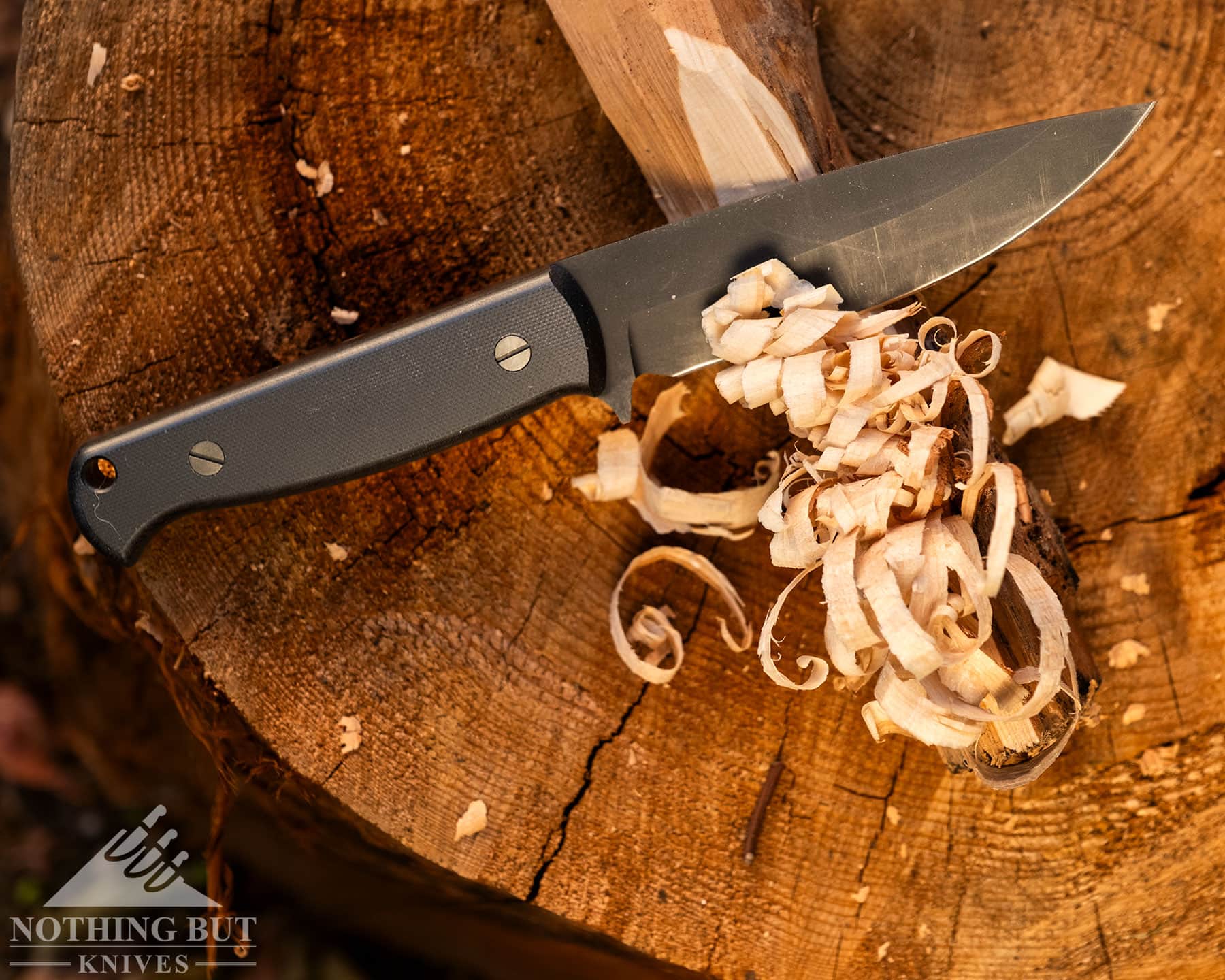 Skallywag Tactical. The Wanderer Review. - Image 4 An overhead shot of the Skalleywag Tactical knife with a feather stick it was used to carve on top of a large Cedar round.
