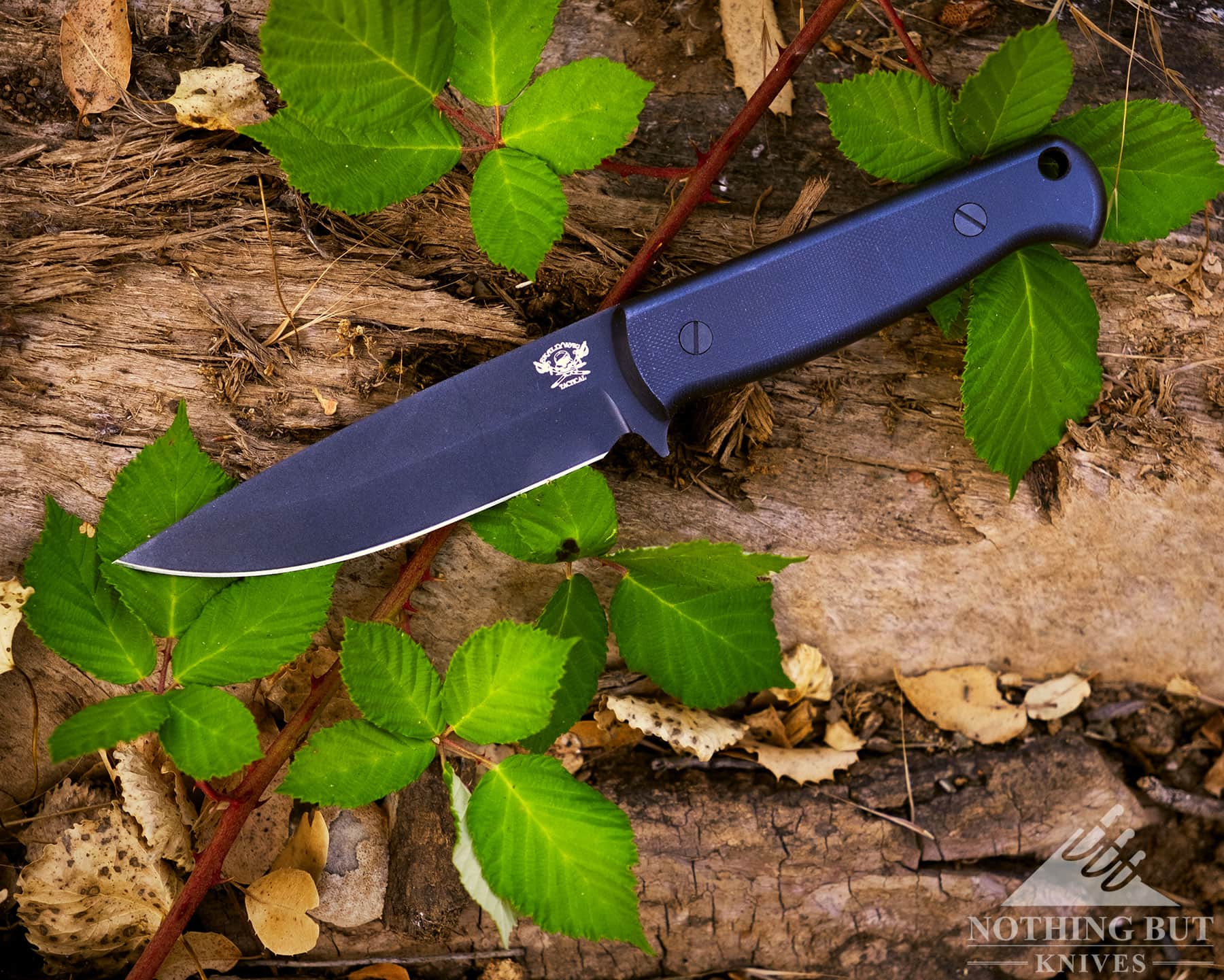 Skallywag Tactical. The Wanderer Review. - Image 1 Overhead shot of the skallywag wanderer fix blade knife on the forest floor