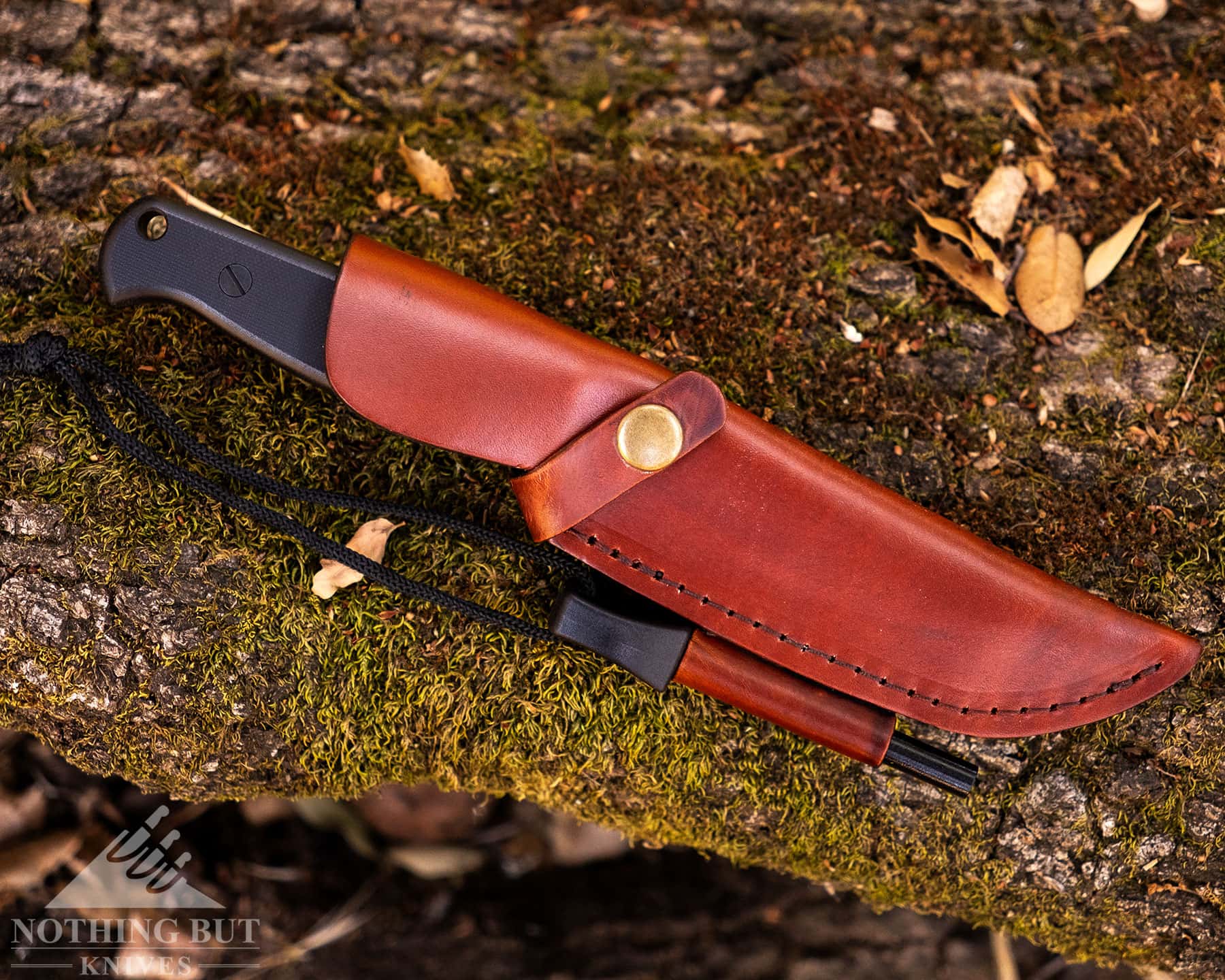 Skallywag Tactical. The Wanderer Review. - Image 8 A top down shot of the Skallywag Wanderer in its leather sheath on a moss covered log