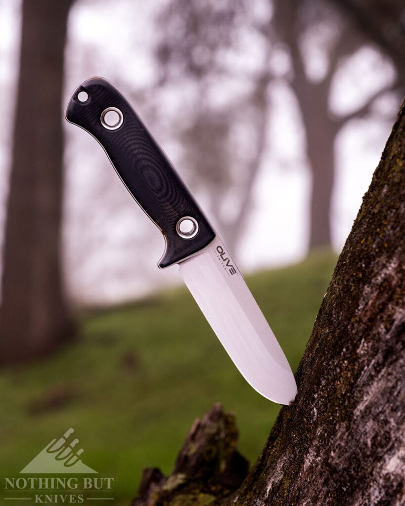 Olive Arbor Review - Image 1 A close-up of the Olive Arbor fixed blade shown here with its blade sticking out of a tree stump in a foggy forest.