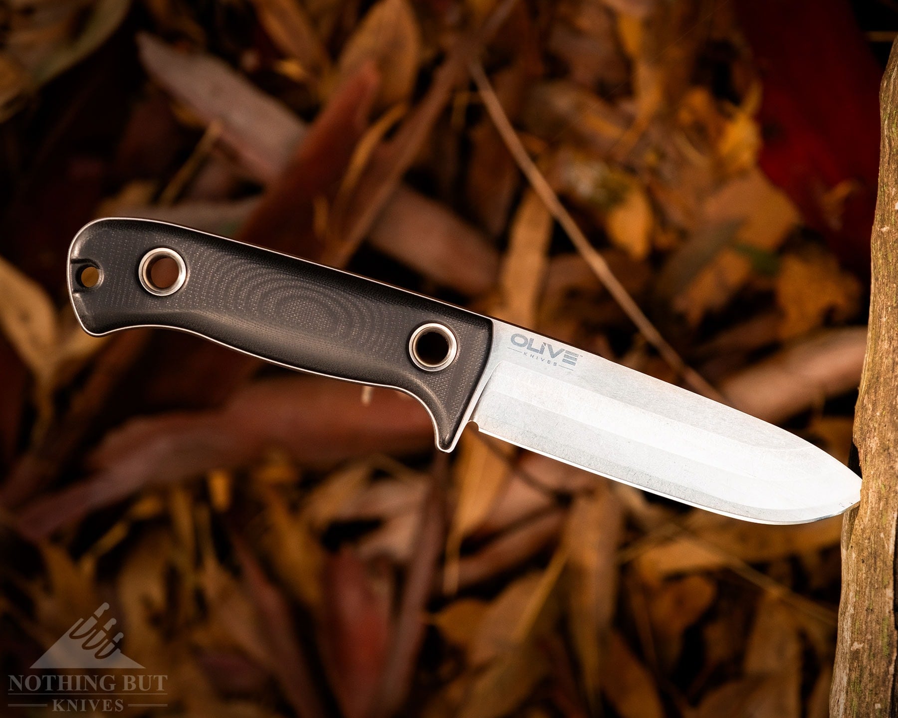 Olive Arbor Review - Image 4 An overhead view of the Olive Arbor knife sticking out of a log above a leaf covered forest floor.