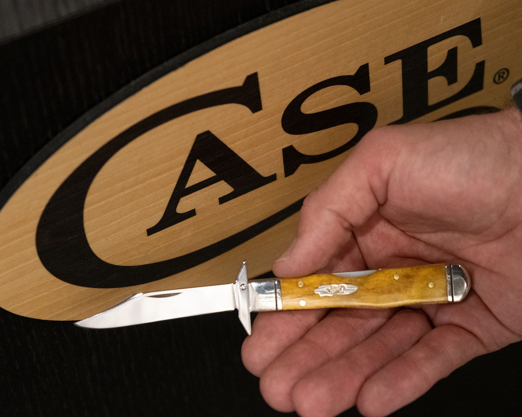 An overhead view of the Cheetah Cub with the blade in the open position in a person's open palm in front of the Case Knives logo. 