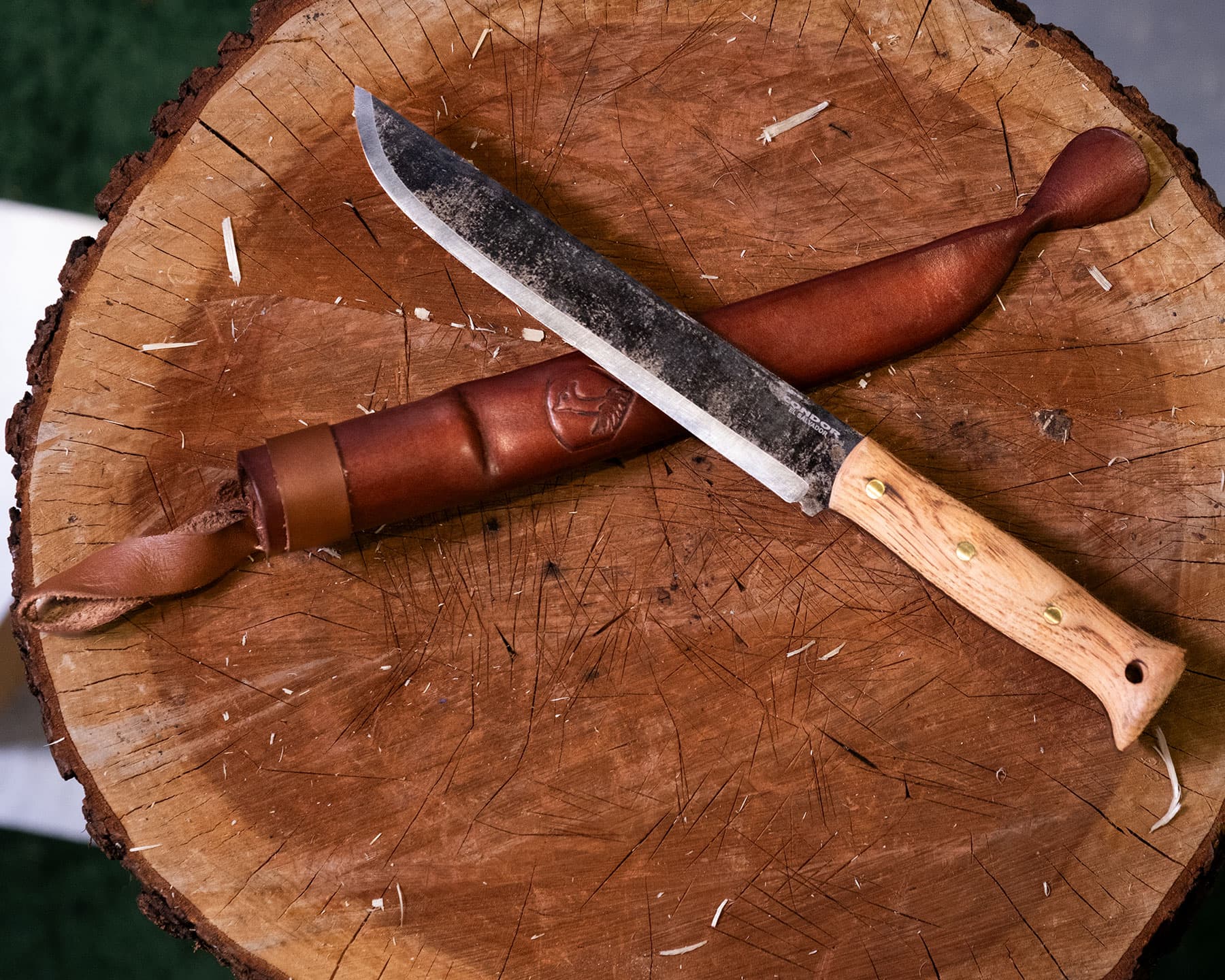 An overhead view of the Condor Leuku fixed blade knife with its leather sheath on top of an Oak log. 