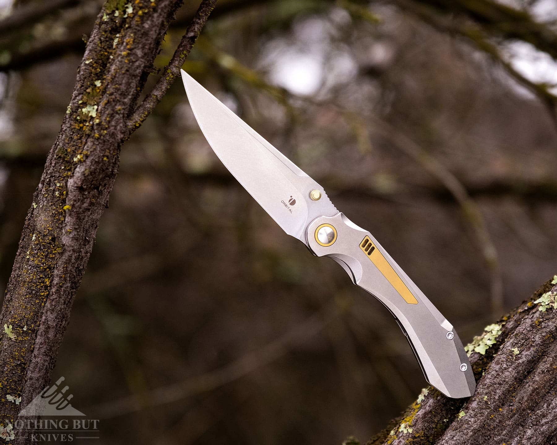 Orbital Fornax Review - Image 10 Premium knife from Orbital balanced in the branches of a leafless bush.