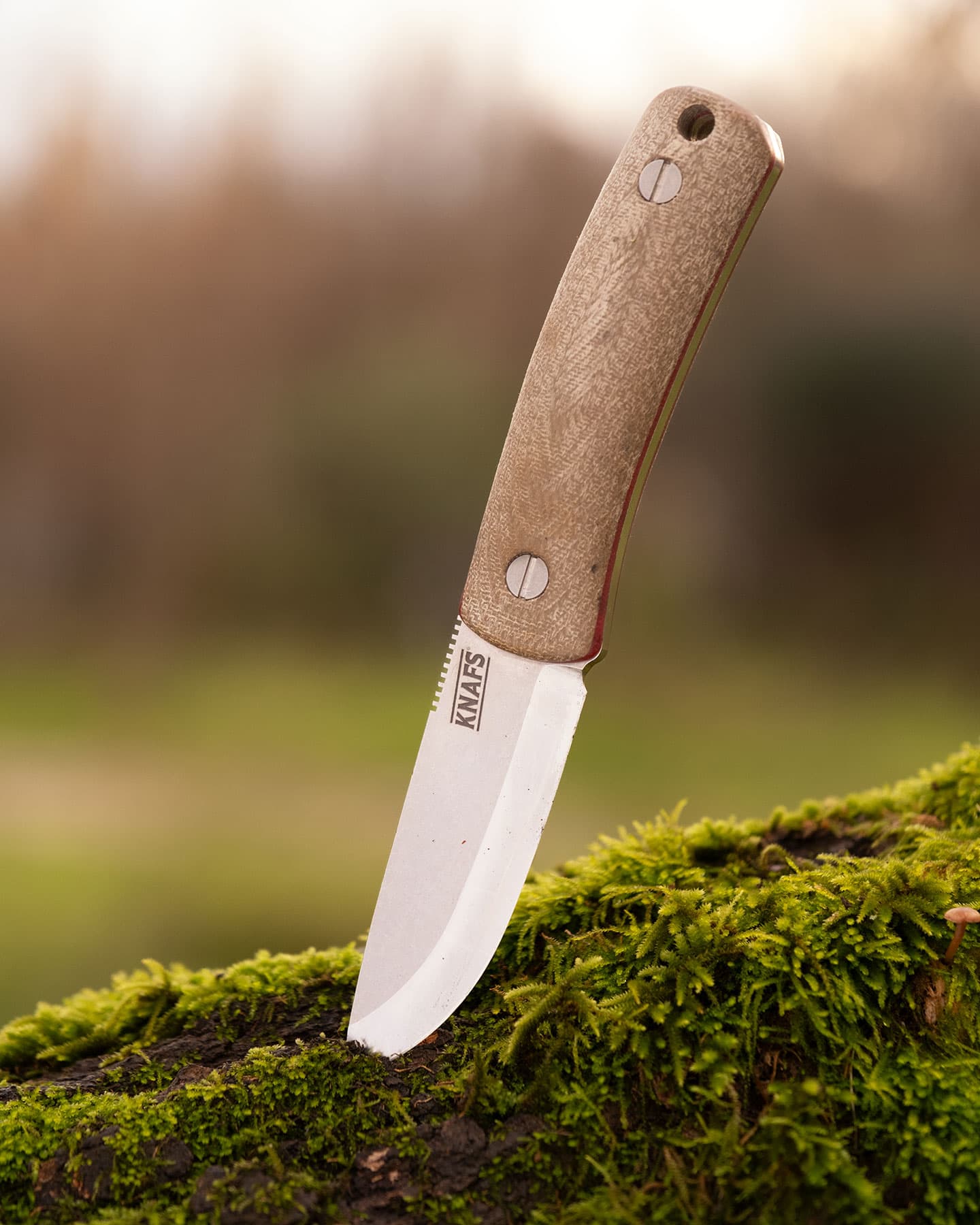 A close-up of the Knafs Lulu bushcraft knife with Micarta handle scales and a Magnacut steel blade sticking out of a moss-covered log in a Northern California forest.