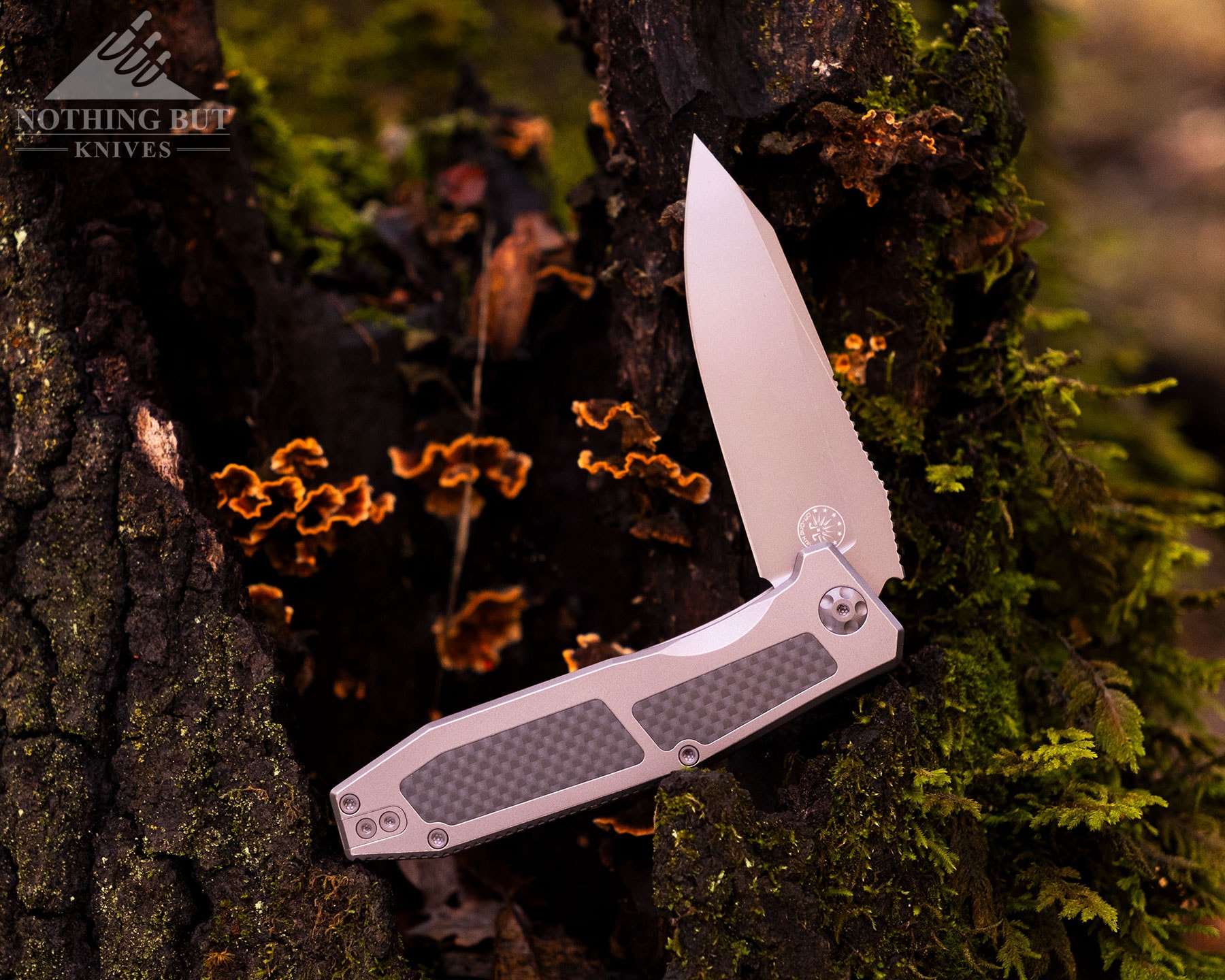Orbital Fornax Review - Image 8 The Off-Grid Scorpion V3 with its blade in the half open position balanced on a moss-covered tree stump.