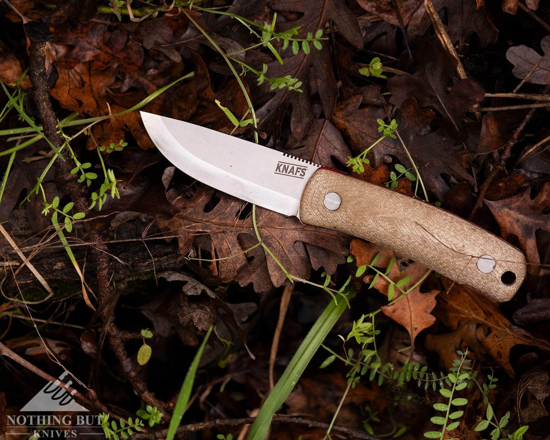 Knafs Lulu Review - Image 1 Bushcraft Knife lying on a bed of brown leaves on the forest floor.