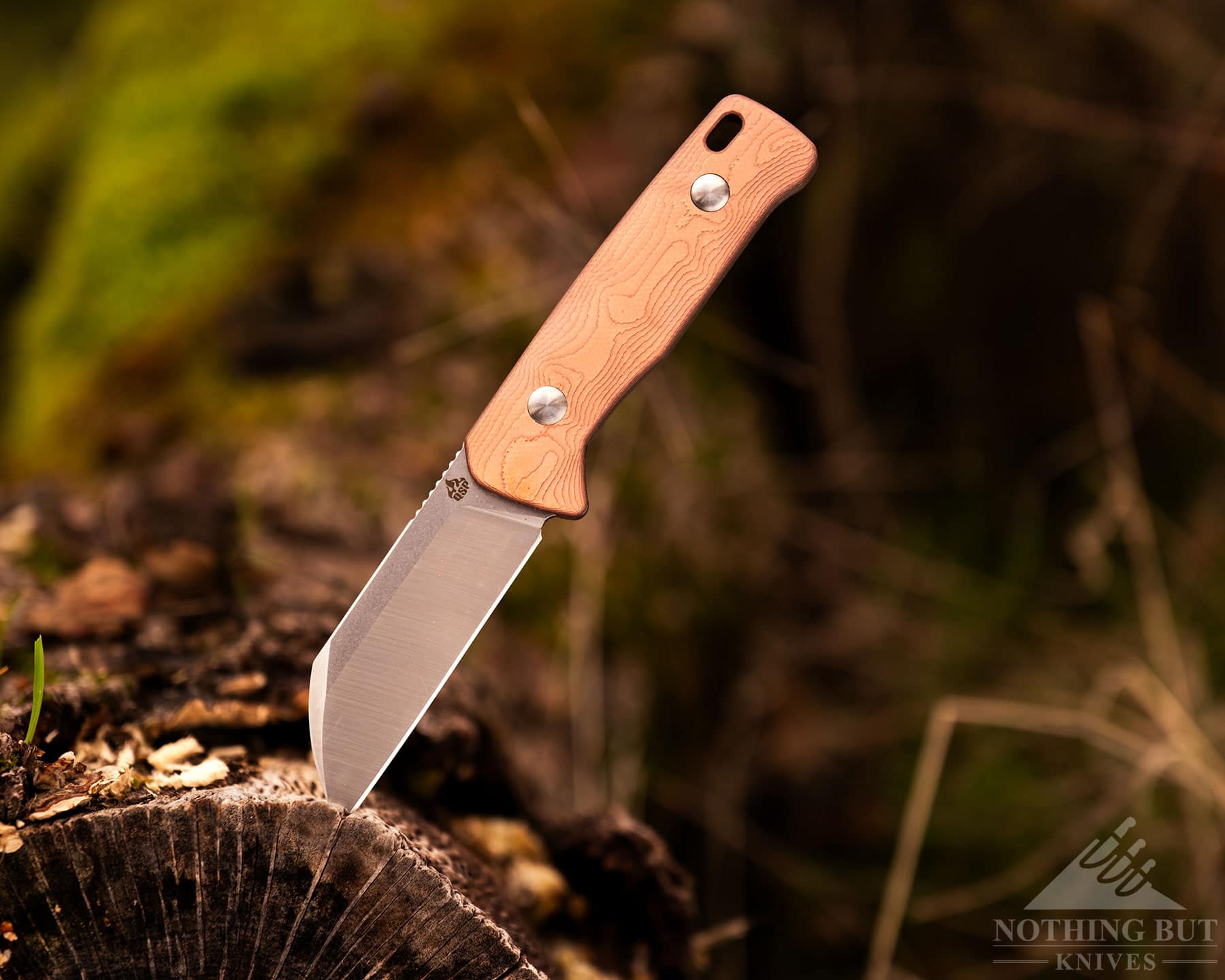 Qsp Baby Penguin Fixed Blade Review - Image 13 A smalled fixed blade knife by QSP coming out of the log vertically with nature in the background.
