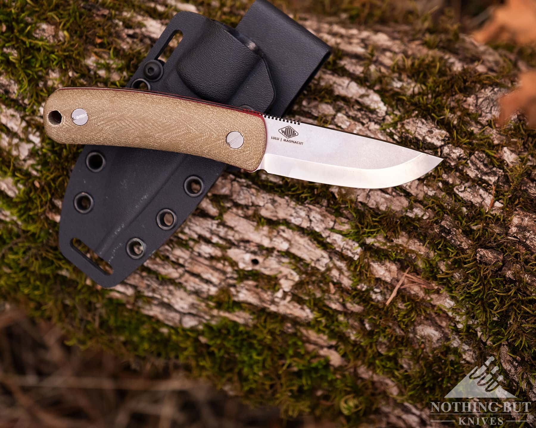 Knafs Lulu Review - Image 5 Lulu Bushcraft knife by Knaf lying sideways on a tree branch with moss growing on it.