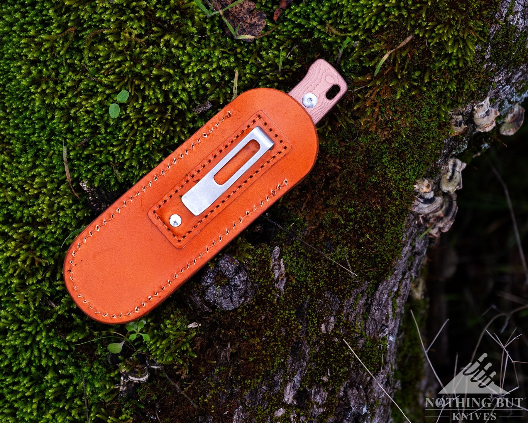 Qsp Baby Penguin Fixed Blade Review - Image 10 The QSP Baby Penguin in its leather sheath featuring a clip on a mossy log.