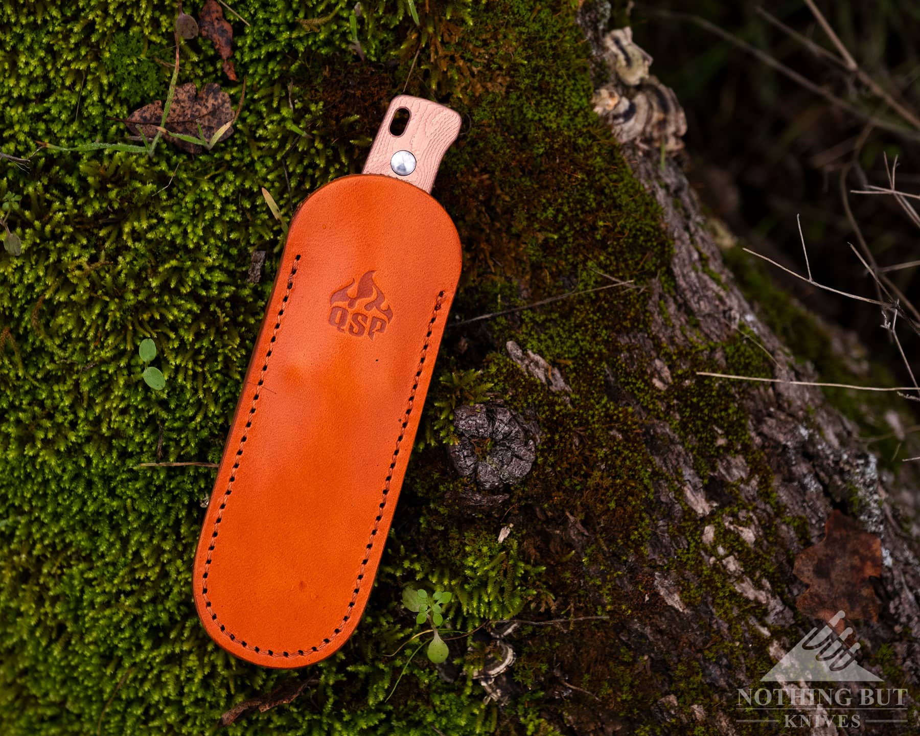 Qsp Baby Penguin Fixed Blade Review - Image 5 A compact fixed blade knife in its leather sheath on a mossy log.