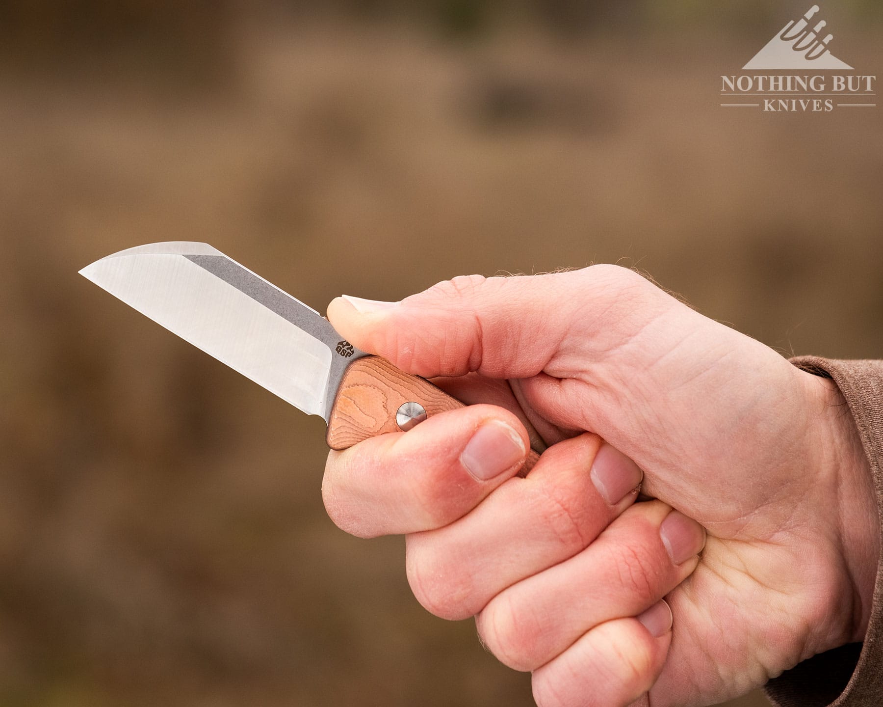 Qsp Baby Penguin Fixed Blade Review - Image 8 A fixed blade by QSP being held in the right hand of a man with a brown shirt sleeve and nature in the background.