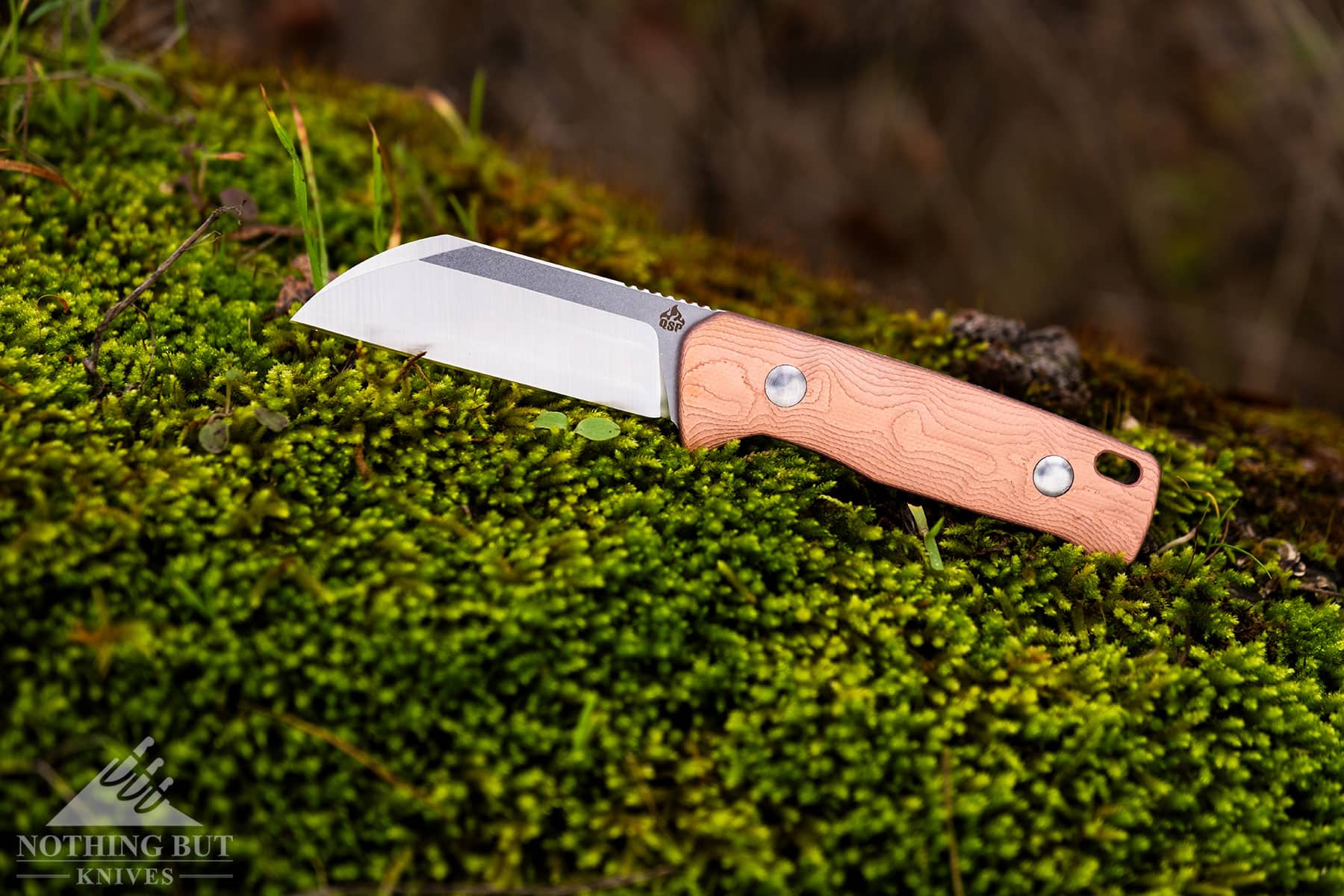 Qsp Baby Penguin Fixed Blade Review - Image 3 The Baby Penguin by QSP lying on a mossy log with forest in the background.