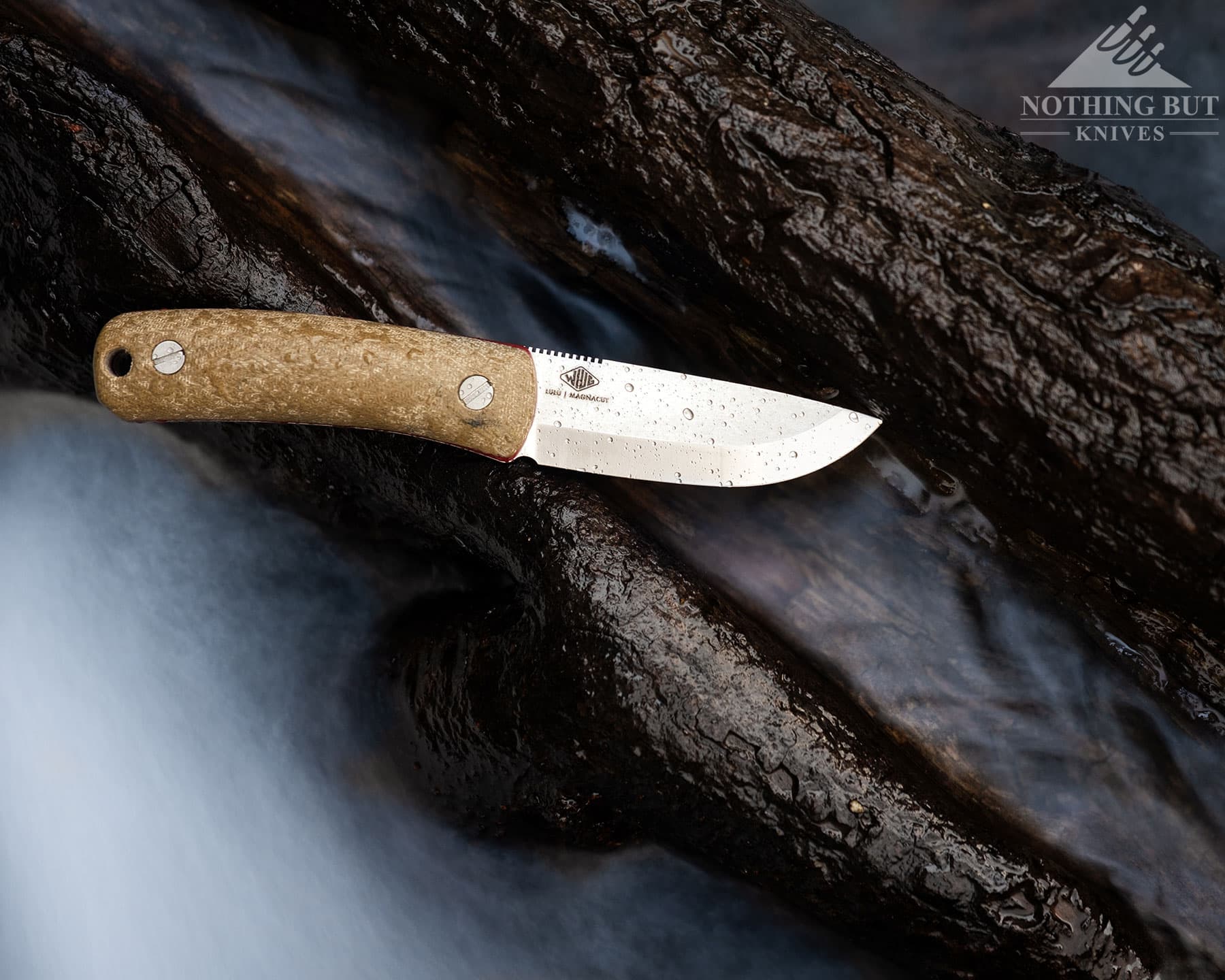 Knafs Lulu Review - Image 13 Knafs Lulu resting on a wet log in a stream.