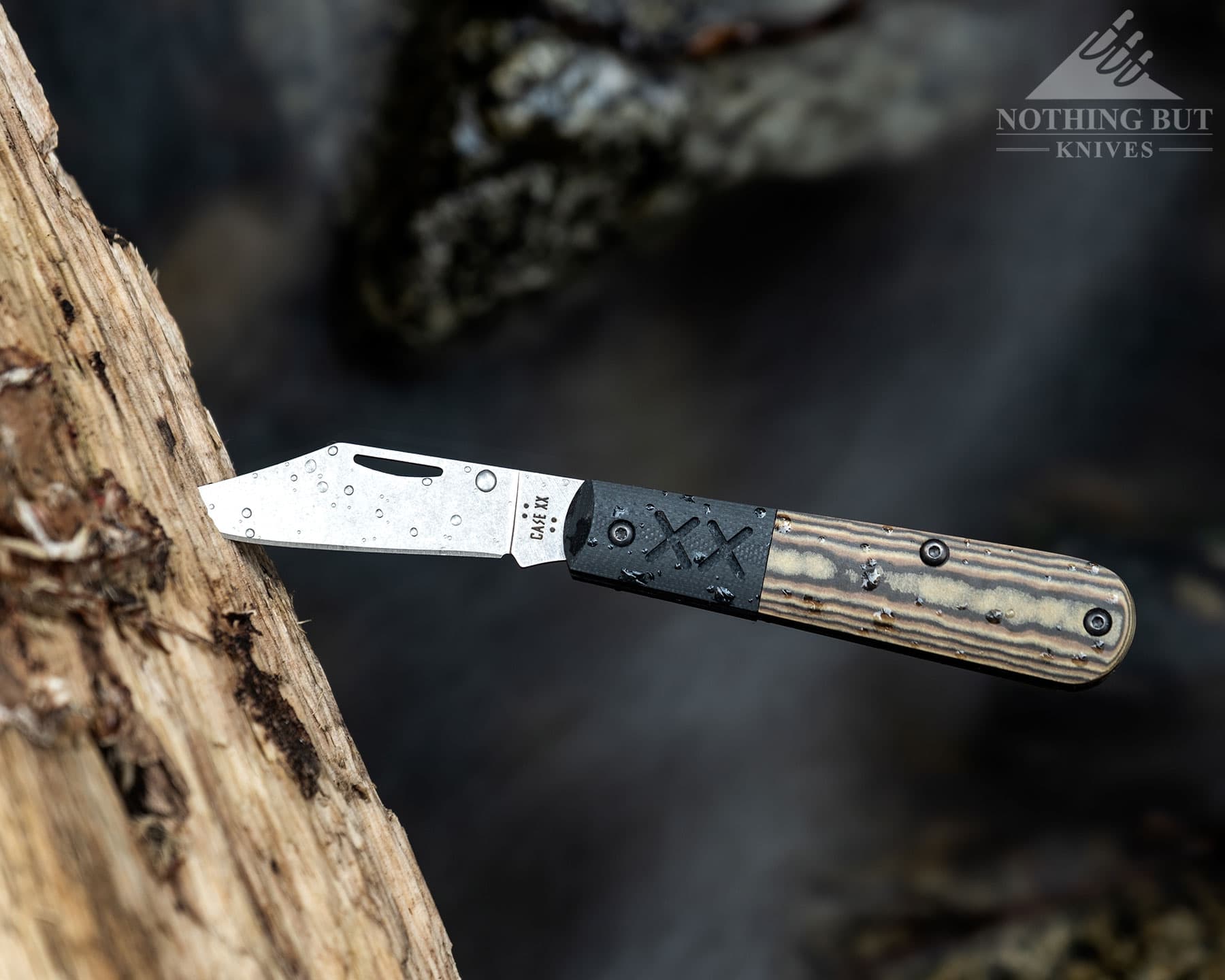 An overhead image of a Case slip joint knife with its blade open and sticking out of a piece of driftwood on a mountain creek.  