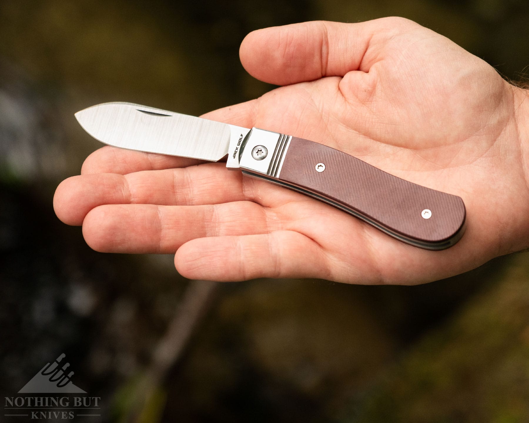 Jack Wolf Knives K9 Jack Review - Image 3 A slightly elevated view of the Jack Wolf K9 slip joint knife with its blade in the open position in a person's open hand.