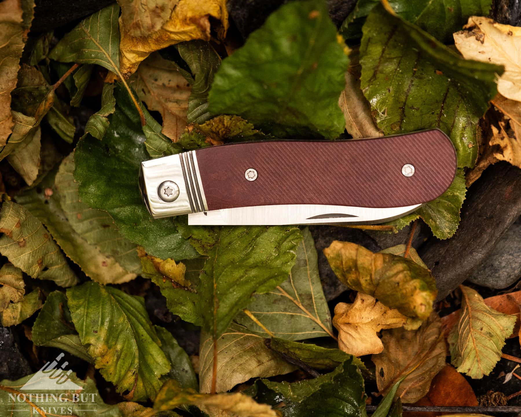 Jack Wolf Knives K9 Jack Review - Image 6 A top-down view of the Jack Wolf K9 Jack with its blade in the closed position on a pile of wet leaves.