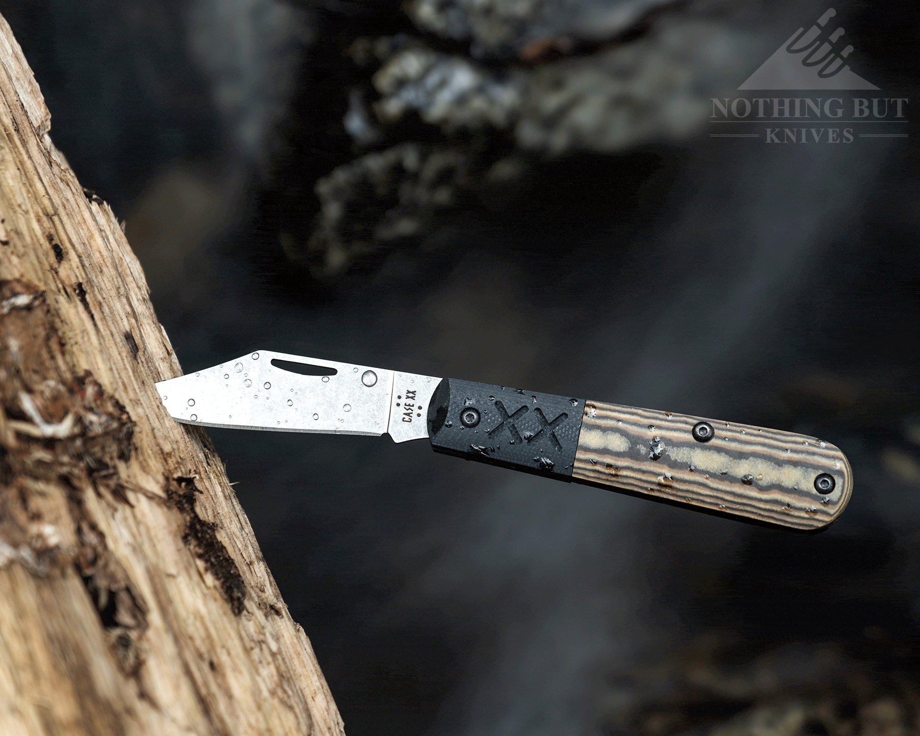 Jack Wolf Knives K9 Jack Review - Image 7 A profile view of the Case Crossroads Barlow sticking out of a log in the forest.