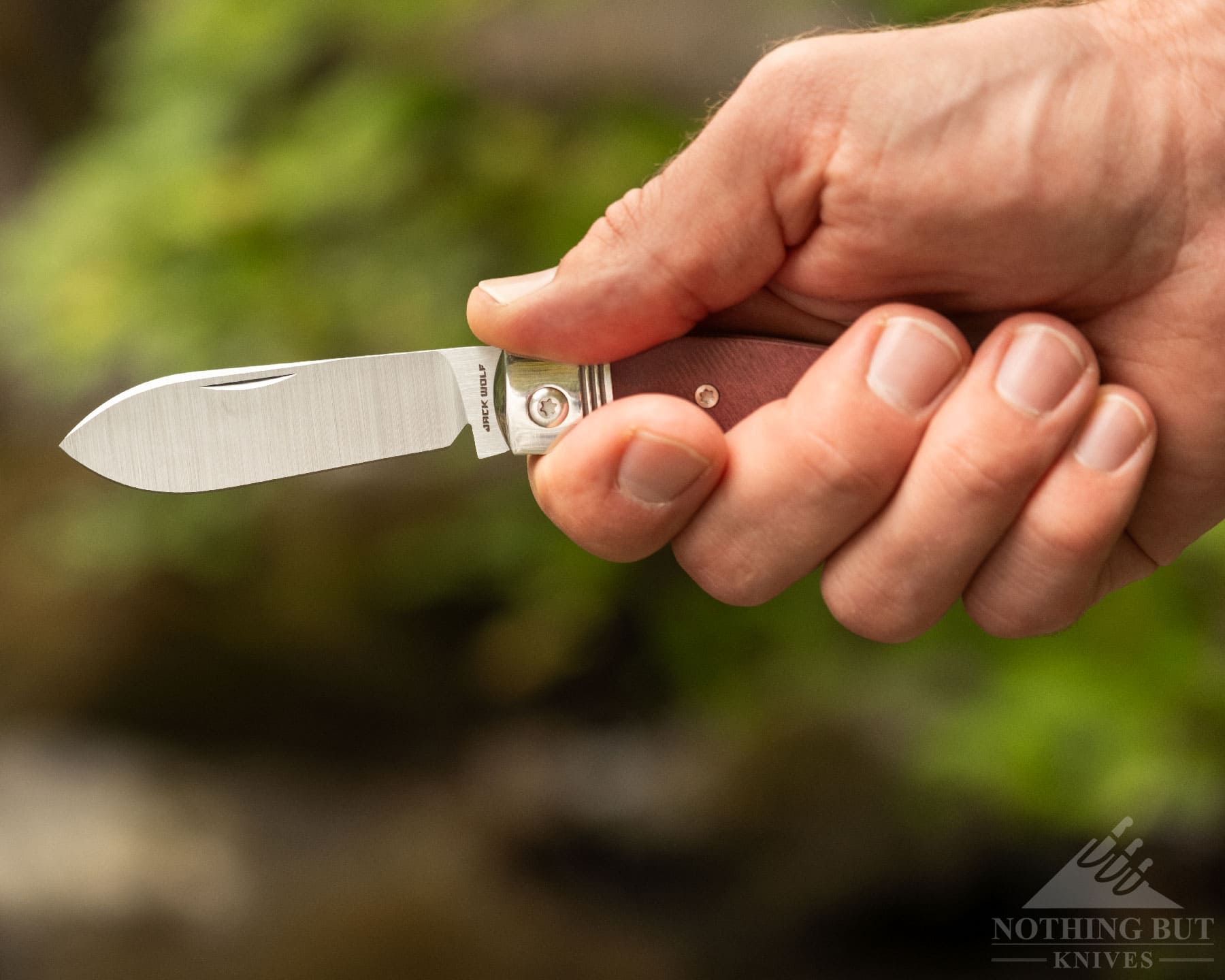Jack Wolf Knives K9 Jack Review - Image 4 A side view of the Jack Wolf K9 folding knife being gripped in a person's right hand in front of a green background.