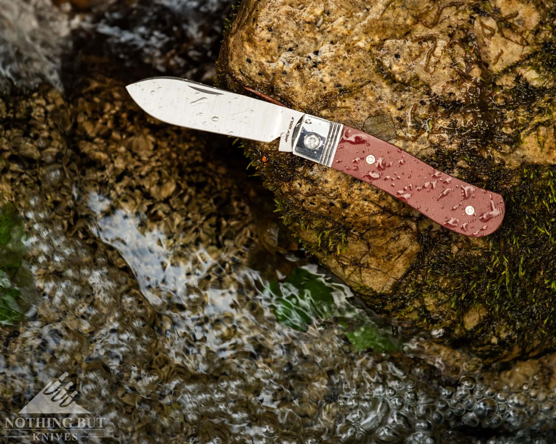 Jack Wolf Knives K9 Jack Review - Image 1 An overhead view of the Jack Wolf K9 pocket knife with its blade fully open on a rock next to a mountain creek.